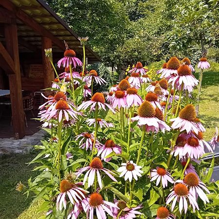 Czytelnia W Sadzie Villa Krzykawka Dış mekan fotoğraf