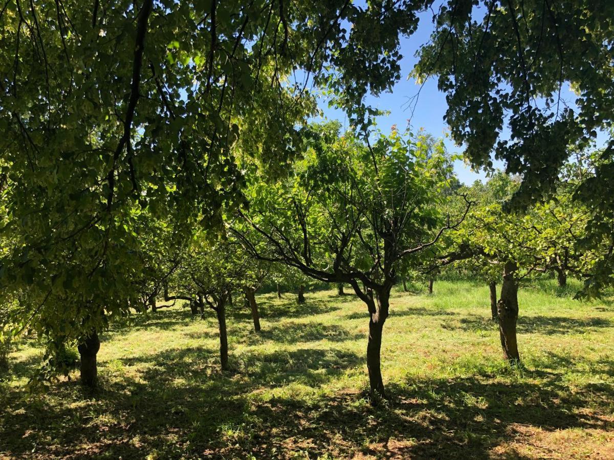 Czytelnia W Sadzie Villa Krzykawka Dış mekan fotoğraf