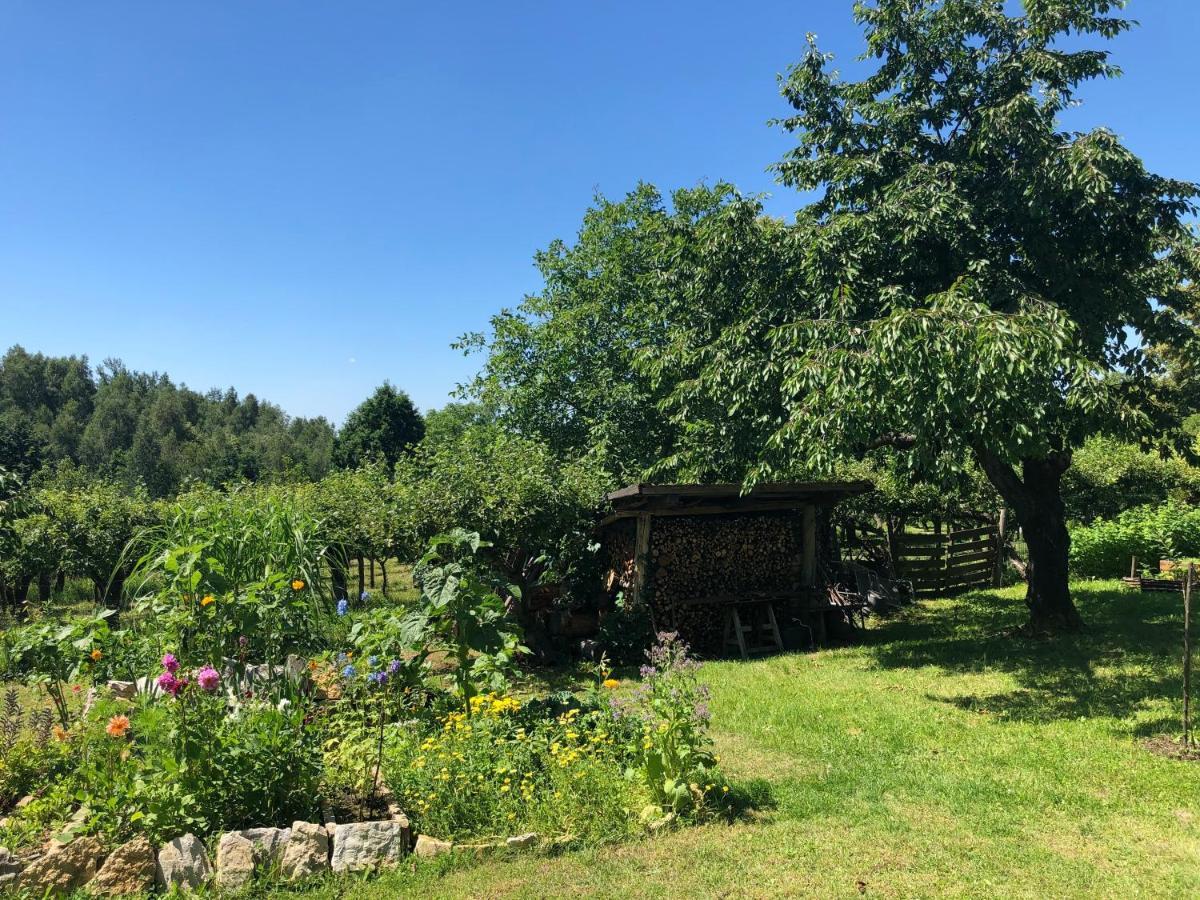 Czytelnia W Sadzie Villa Krzykawka Dış mekan fotoğraf