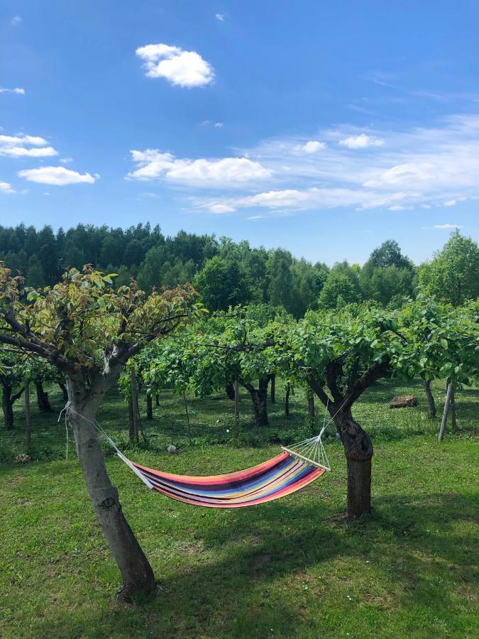 Czytelnia W Sadzie Villa Krzykawka Dış mekan fotoğraf