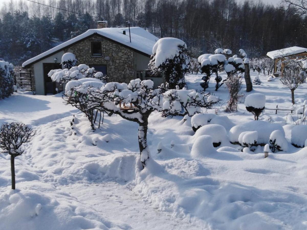 Czytelnia W Sadzie Villa Krzykawka Dış mekan fotoğraf