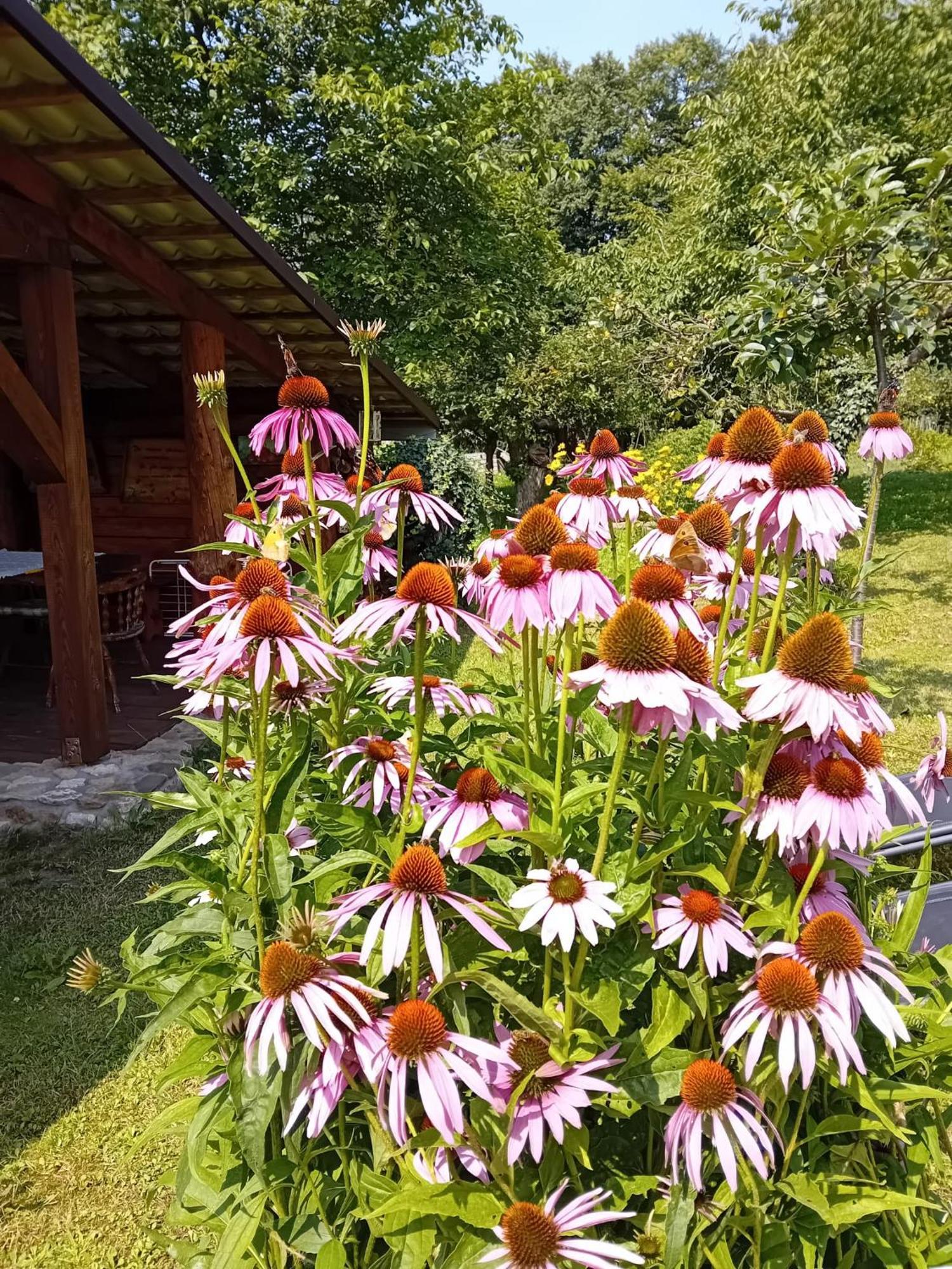 Czytelnia W Sadzie Villa Krzykawka Dış mekan fotoğraf