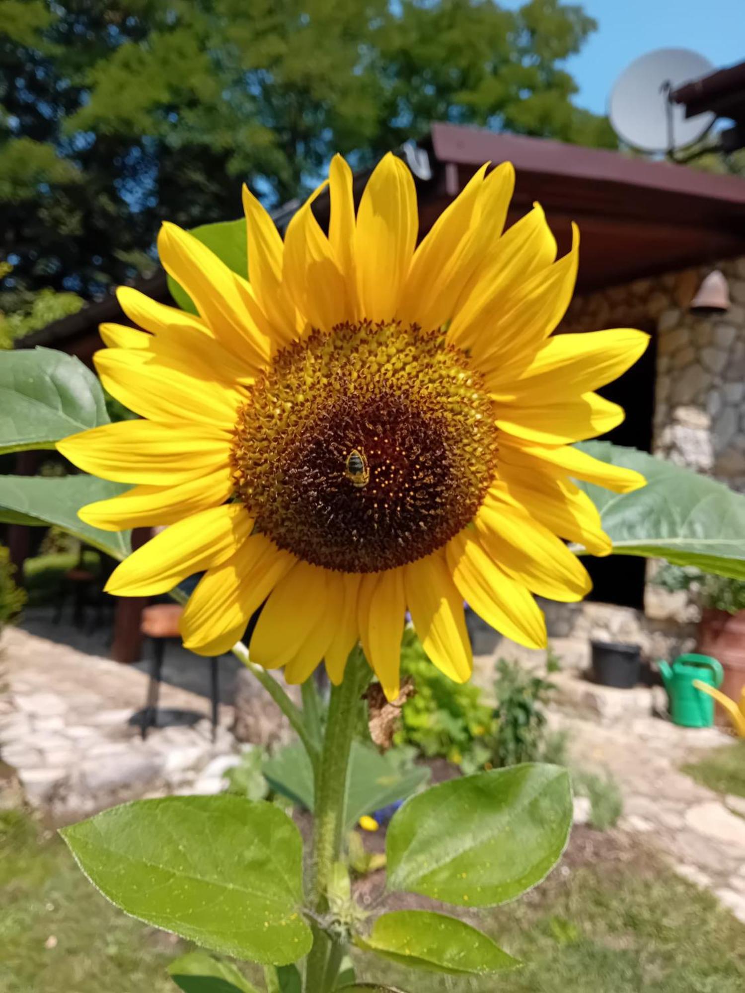 Czytelnia W Sadzie Villa Krzykawka Dış mekan fotoğraf